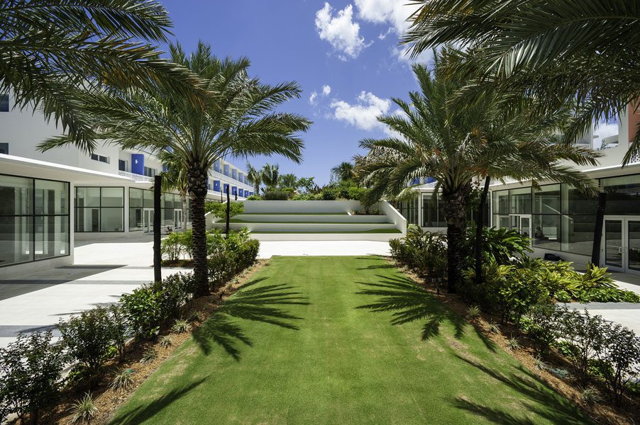 The Grove — project image 1 of 8